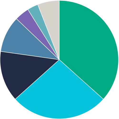 life insurance claim types pie chart